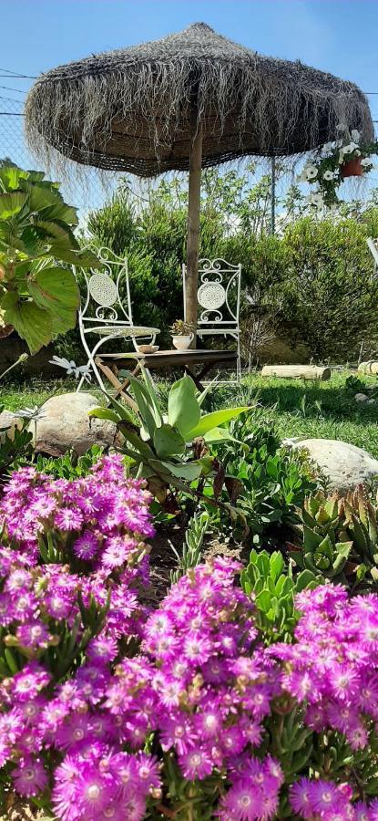 Blacksheep Sagres Guesthouse & Surf Dış mekan fotoğraf