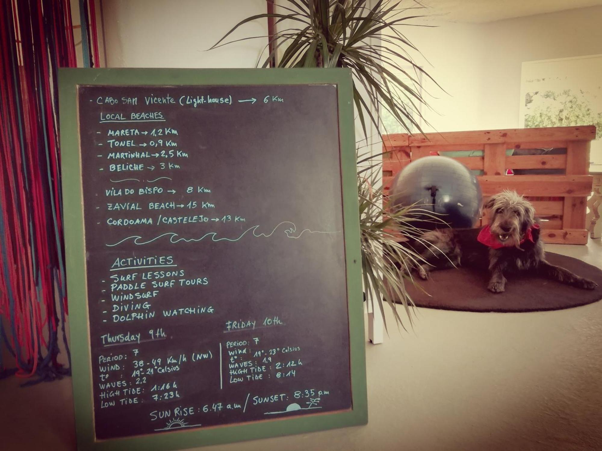 Blacksheep Sagres Guesthouse & Surf Dış mekan fotoğraf