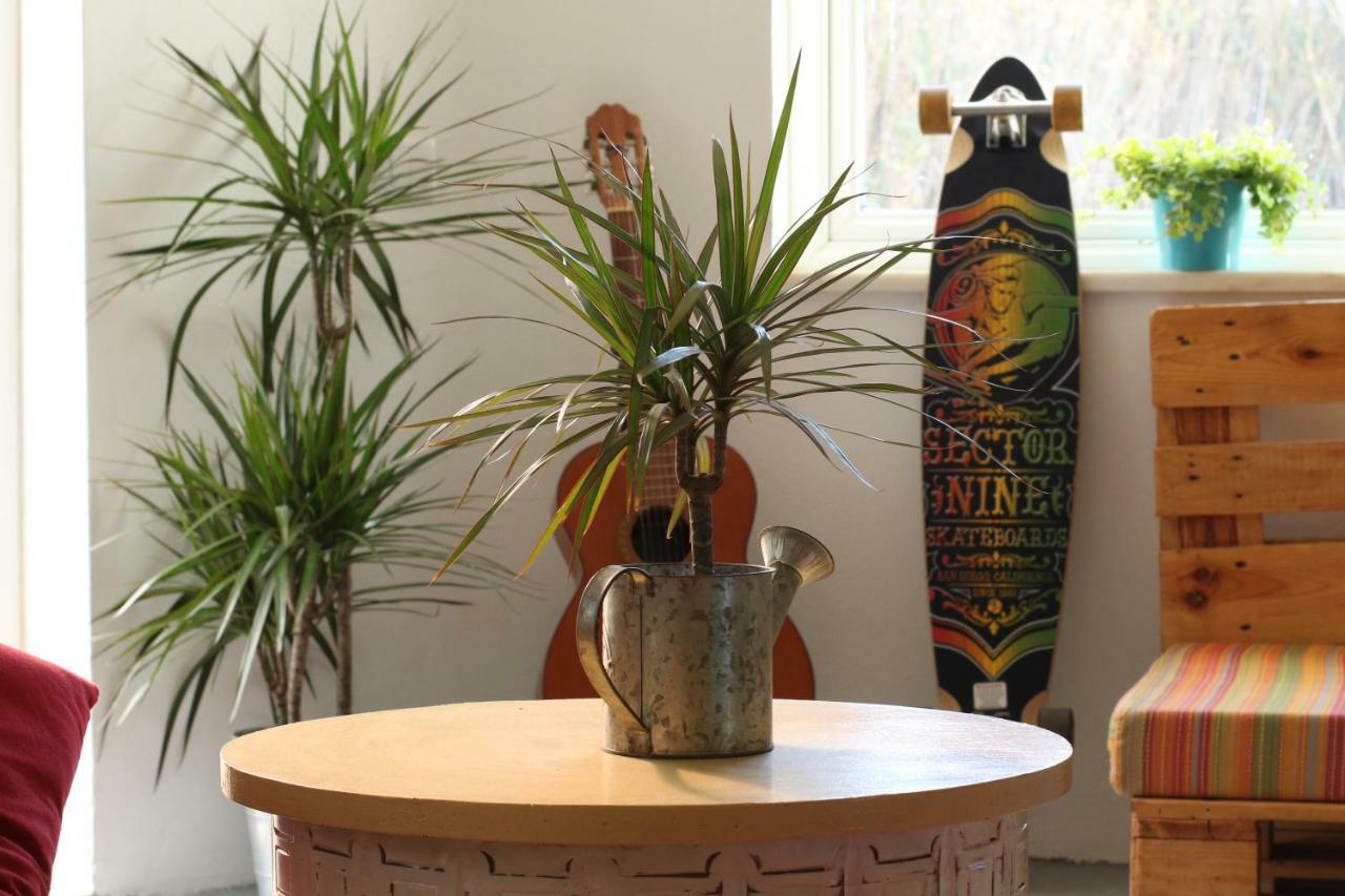 Blacksheep Sagres Guesthouse & Surf Dış mekan fotoğraf